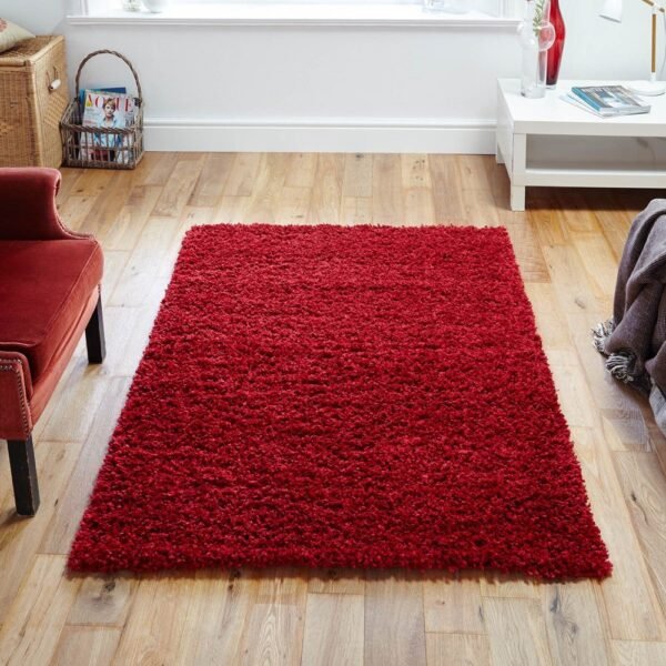 Shaggy Rug